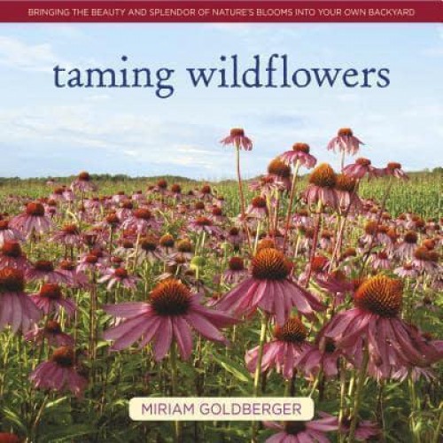 Taming Wildflowers Bringing the Beauty and Splendor of Nature's Blooms Into Your Own Backyard