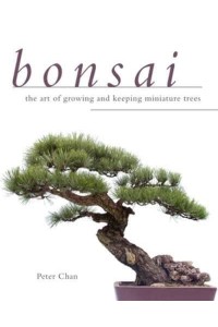 Bonsai The Art of Growing and Keeping Miniature Trees