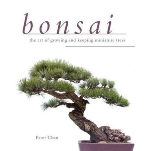 Bonsai The Art of Growing and Keeping Miniature Trees