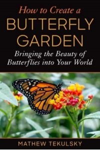 How to Create a Butterfly Garden Bringing the Beauty of Butterflies Into Your World