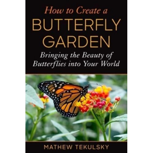 How to Create a Butterfly Garden Bringing the Beauty of Butterflies Into Your World