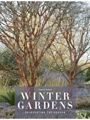 Winter Gardens Reinventing the Season