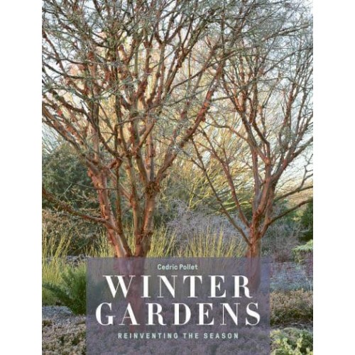 Winter Gardens Reinventing the Season