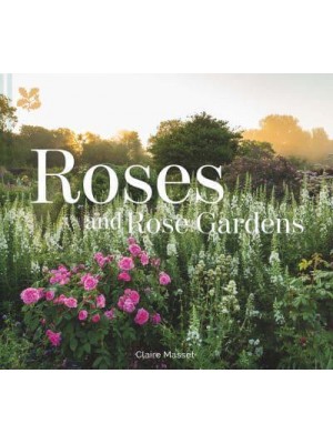 Roses and Rose Gardens
