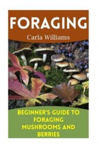 Foraging Beginner's Guide to Foraging Mushrooms and Berries: (Foraging Books, Forager Book)