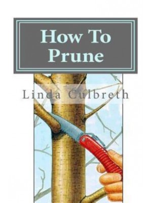How to Prune