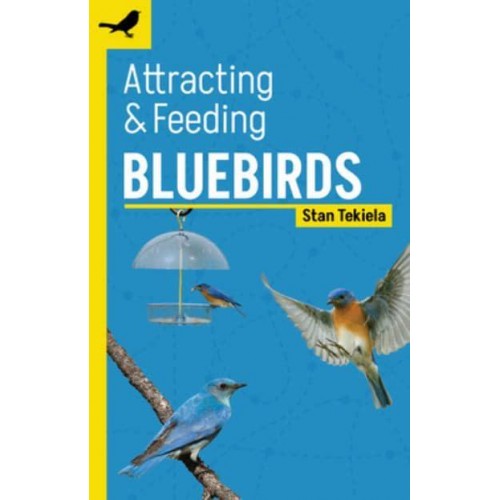 Attracting & Feeding Bluebirds - Backyard Bird Feeding Guides