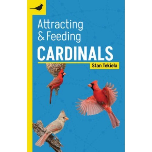 Attracting & Feeding Cardinals - Backyard Bird Feeding Guides