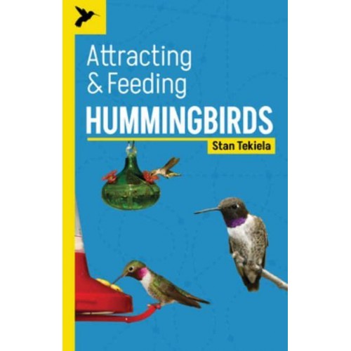 Attracting & Feeding Hummingbirds - Backyard Bird Feeding Guides