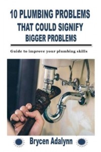 10 PLUMBING PROBLEMS THAT COULD SIGNIFY BIGGER PROBLEMS: Guide to improve your plumbing skills