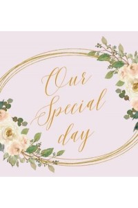 Our Special day, wedding guest book to sign (Hardback)