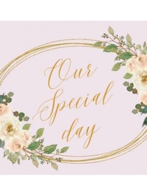 Our Special day, wedding guest book to sign (Hardback)