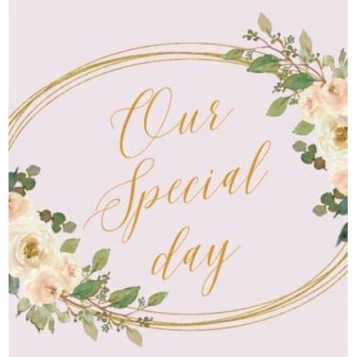Our Special day, wedding guest book to sign (Hardback)