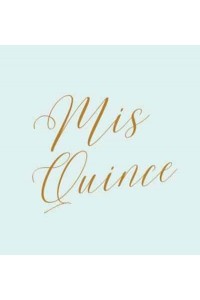 Mis Quince guest book, Quinceañera guest book, Mis Quince Anos Guest book, birthday party guest book to sign
