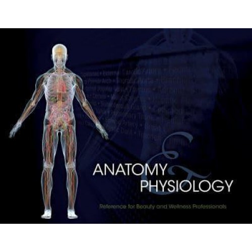 Anatomy & Physiology Reference for Beauty and Wellness Professionals