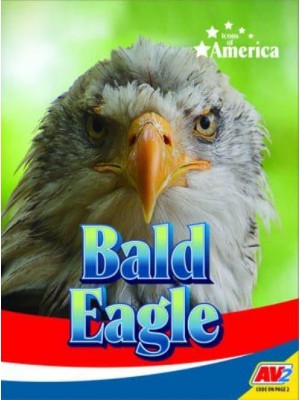 Bald Eagle - Icons of America
