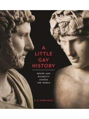 A Little Gay History Desire and Diversity Across the World