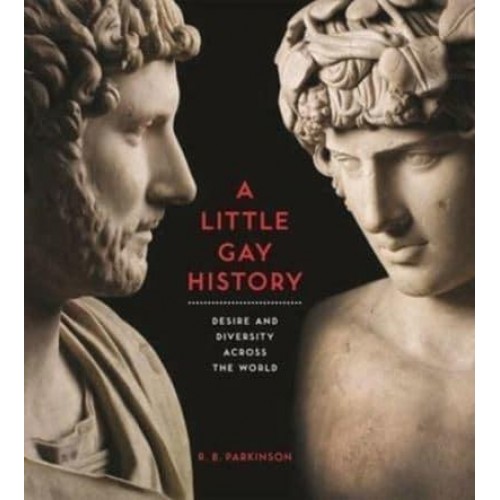 A Little Gay History Desire and Diversity Across the World