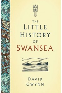 The Little History of Swansea