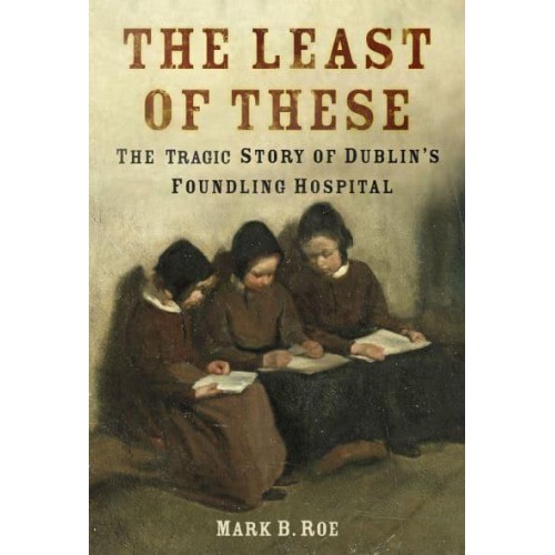 The Least of These The Tragic Story of Dublin's Foundling Hospital