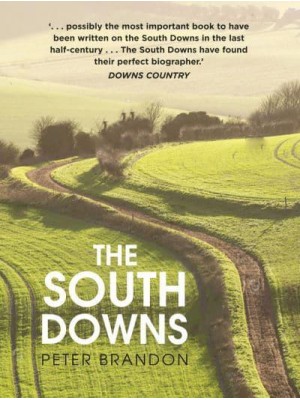 The South Downs