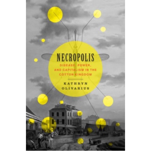 Necropolis Disease, Power, and Capitalism in the Cotton Kingdom