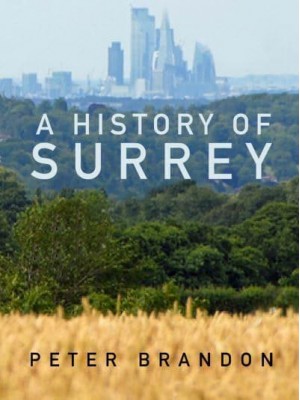 A History of Surrey