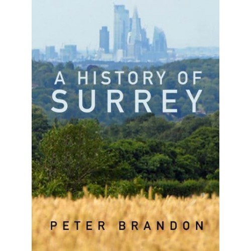 A History of Surrey