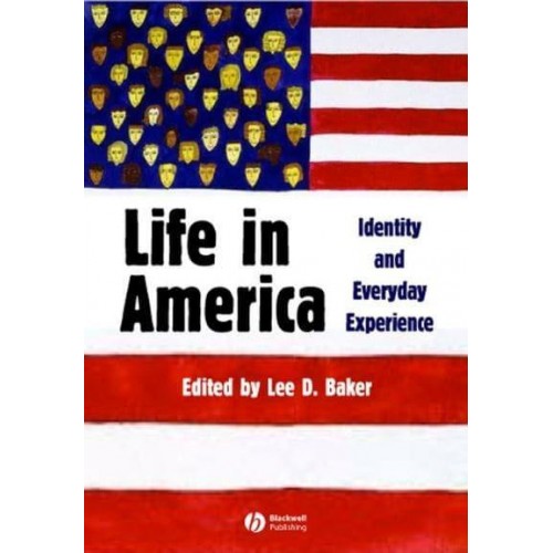 Life in America Identity and Everyday Experience