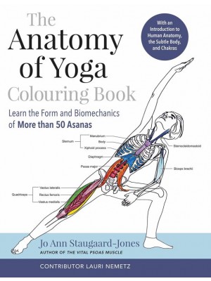 The Anatomy of Yoga Coloring Book Connecting Science With Spirituality