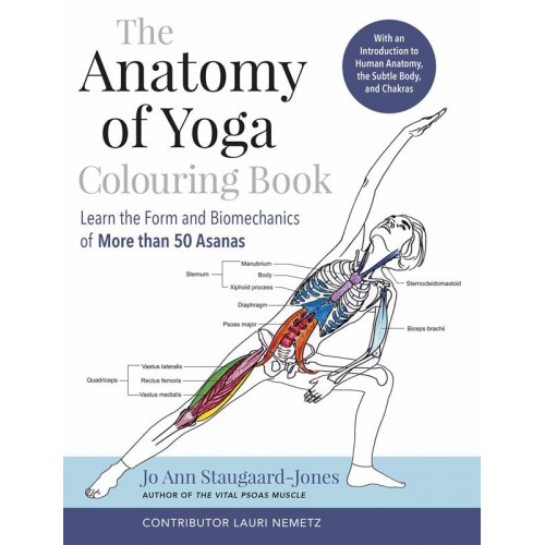 The Anatomy of Yoga Coloring Book Connecting Science With Spirituality