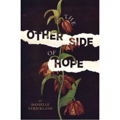 Other Side of Hope Flipping the Script on Cynicism and Despair and Rediscovering Our Humanity