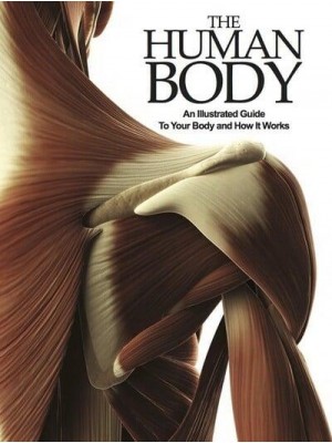 The Human Body An Illustrated Guide to Your Body and How It Works