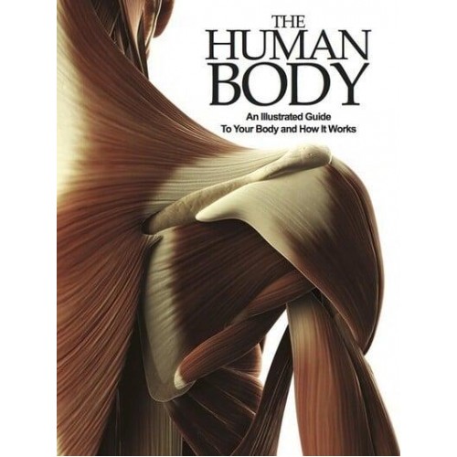 The Human Body An Illustrated Guide to Your Body and How It Works