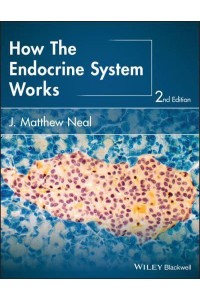 How the Endocrine System Works - The How It Works Series