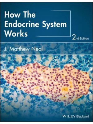 How the Endocrine System Works - The How It Works Series