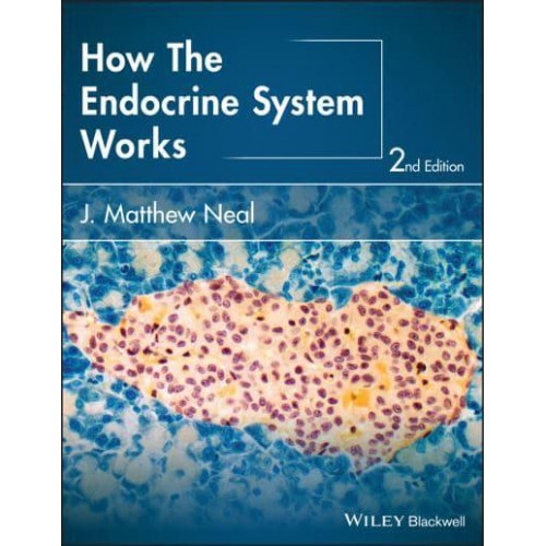 How the Endocrine System Works - The How It Works Series