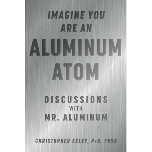 Imagine You Are an Aluminum Atom Discussions With Mr. Aluminum