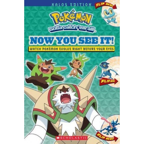 Now You See It! - Pokémon