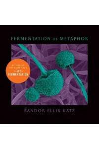 Fermentation as Metaphor