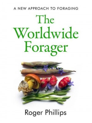 The Worldwide Forager A New Approach to Foraging
