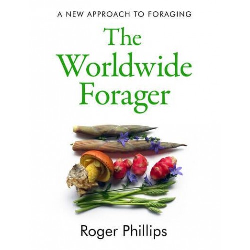 The Worldwide Forager A New Approach to Foraging
