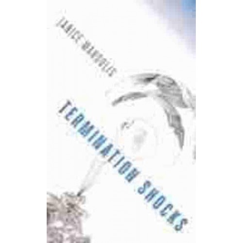 Termination Shocks