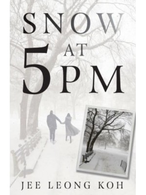Snow at 5 PM Translations of an Insignificant Japanese Poet