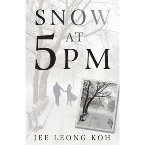 Snow at 5 PM Translations of an Insignificant Japanese Poet
