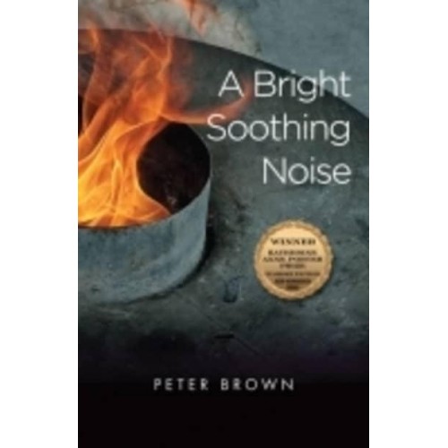 A Bright Soothing Noise : $B Stories - Number 9 in the Katherine Anne Porter Prize in Short Fiction Series