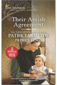 Their Amish Agreement