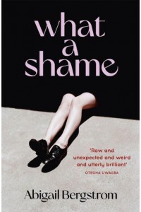 What a Shame A Dazzling, Bold and Funny Debut