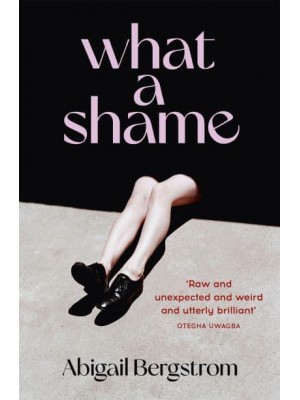 What a Shame A Dazzling, Bold and Funny Debut
