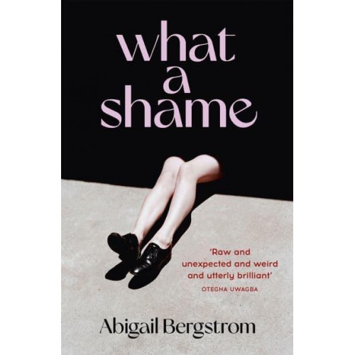 What a Shame A Dazzling, Bold and Funny Debut